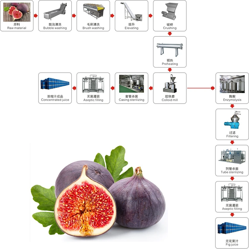 Fig processing line
