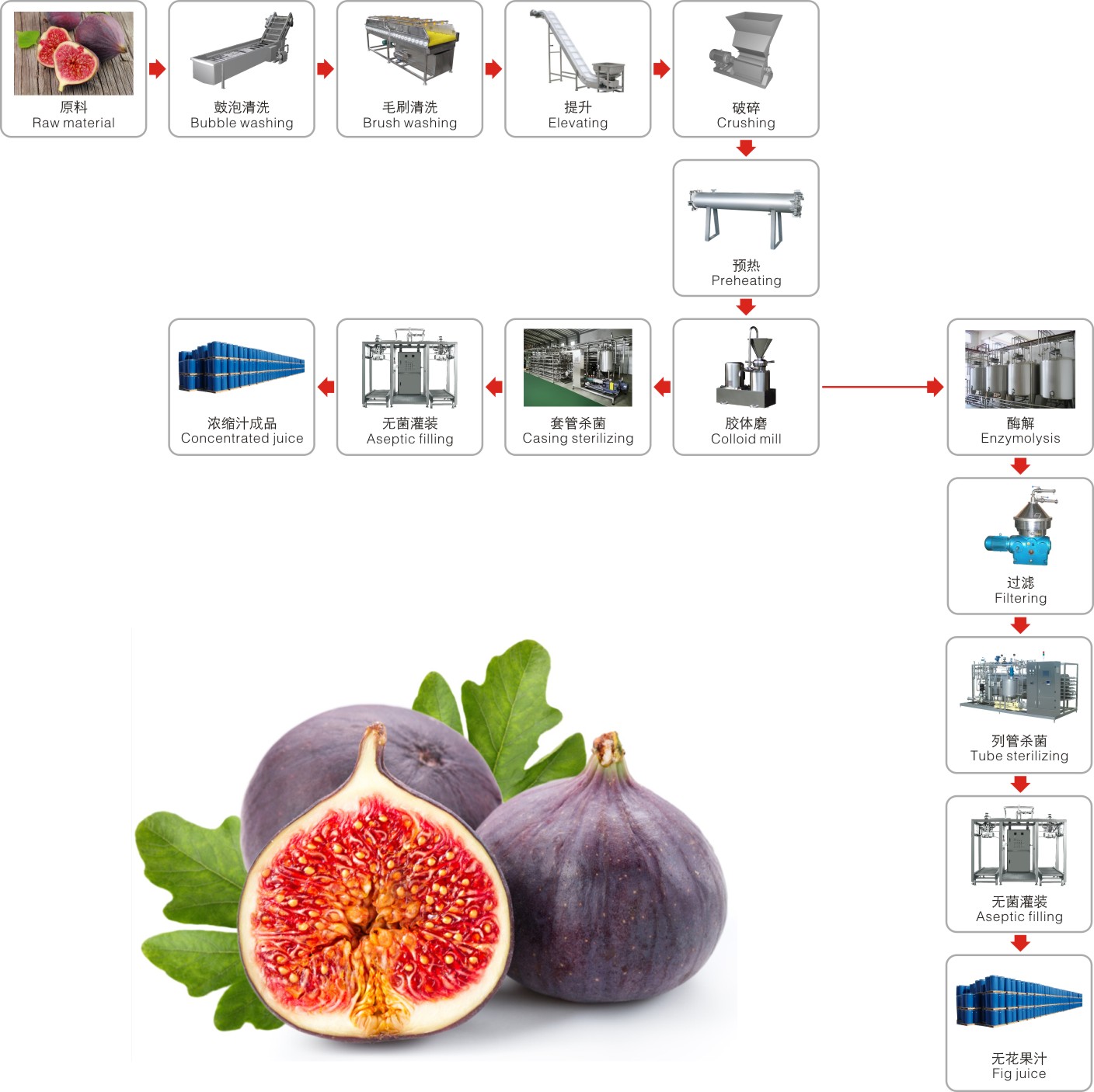 Fig processing line