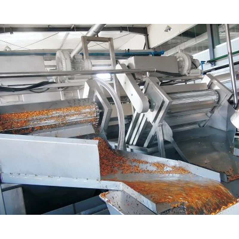Seabuckthorn processing complete production line