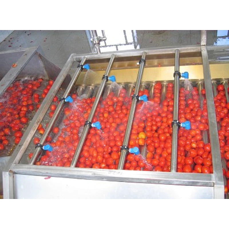 Concentrated tomato paste processing production line