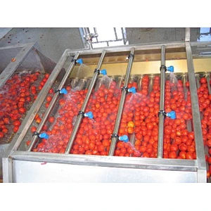 Concentrated tomato paste processing production line