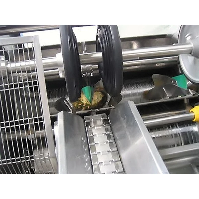 Pineapple processing complete production line turnkey project