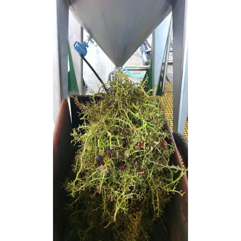 Grape processing production line