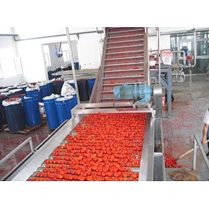 Concentrated tomato paste processing production line