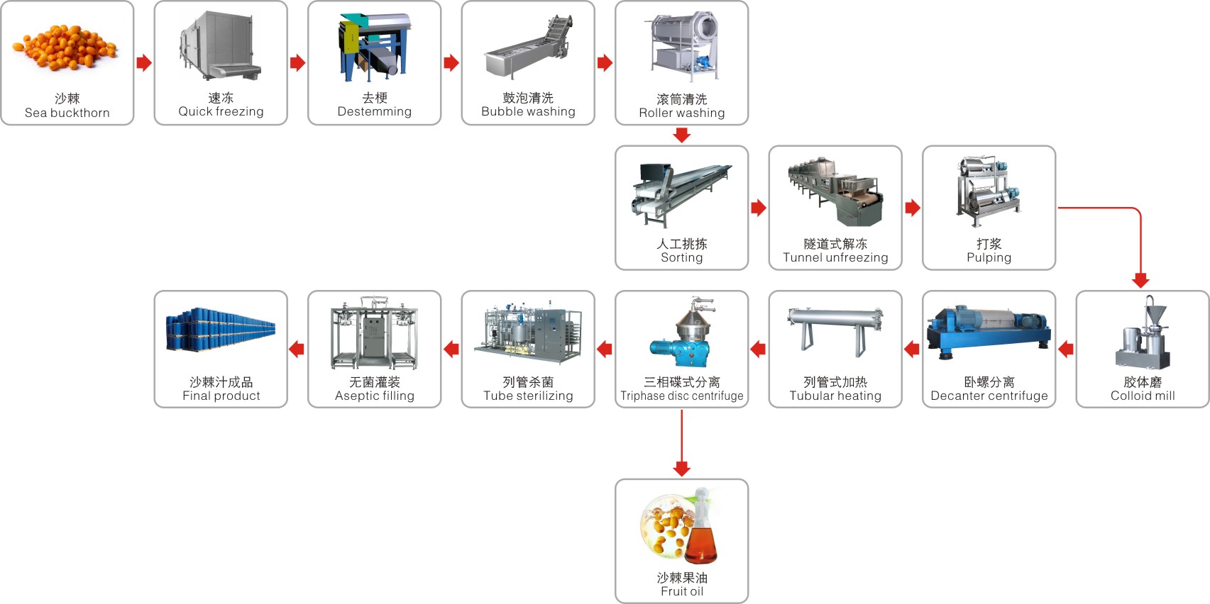 Seabuckthorn processing complete production line