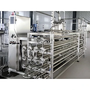 Candied fruit and dried fruit processing production line