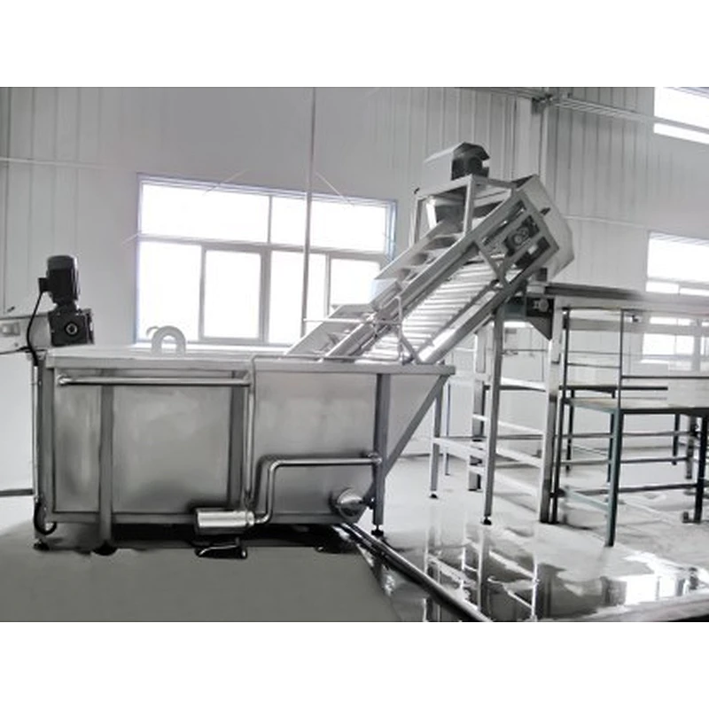 Candied fruit and dried fruit processing production line