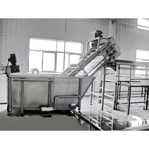 Candied fruit and dried fruit processing production line
