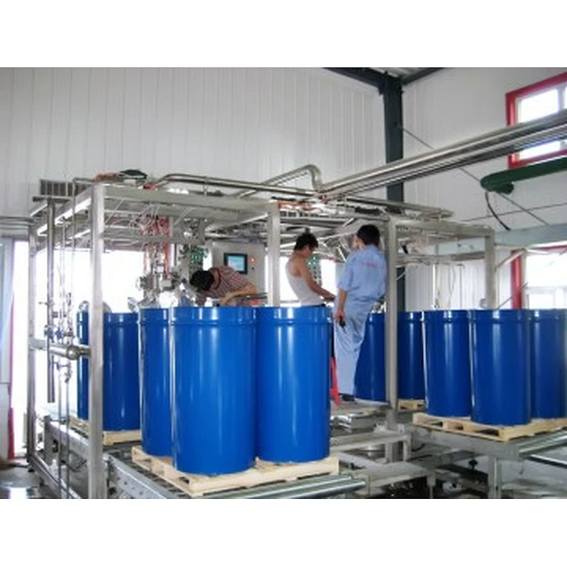 Mango processing complete production line turnkey project