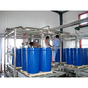 Mango processing complete production line turnkey project