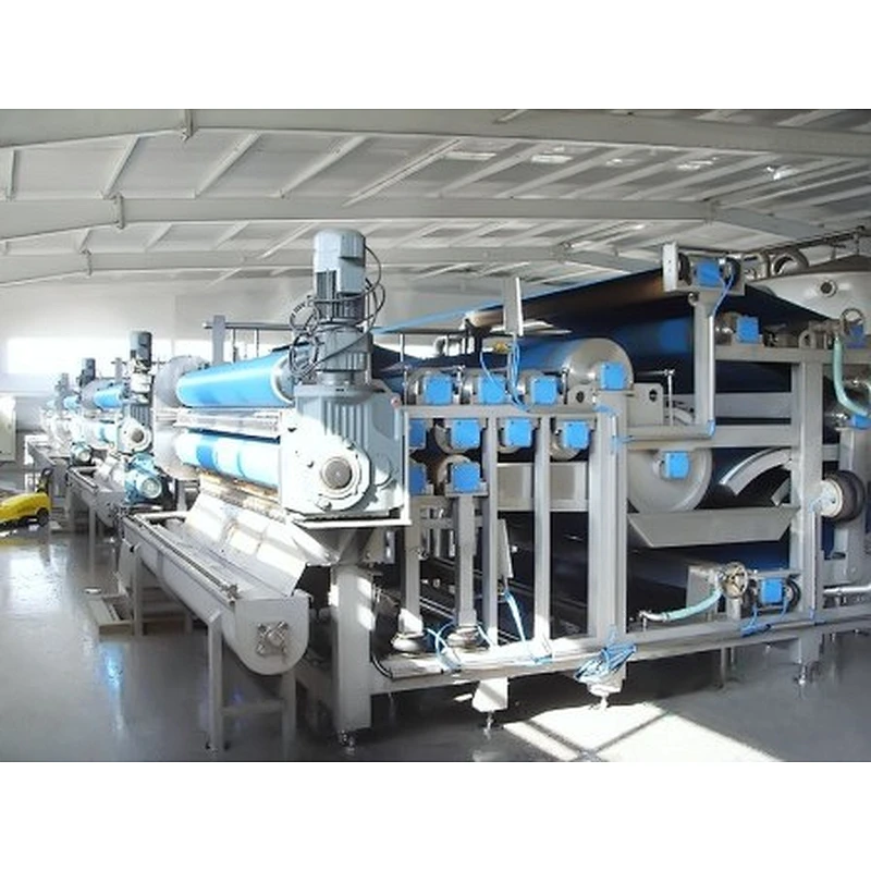 Apple and pear processing production line