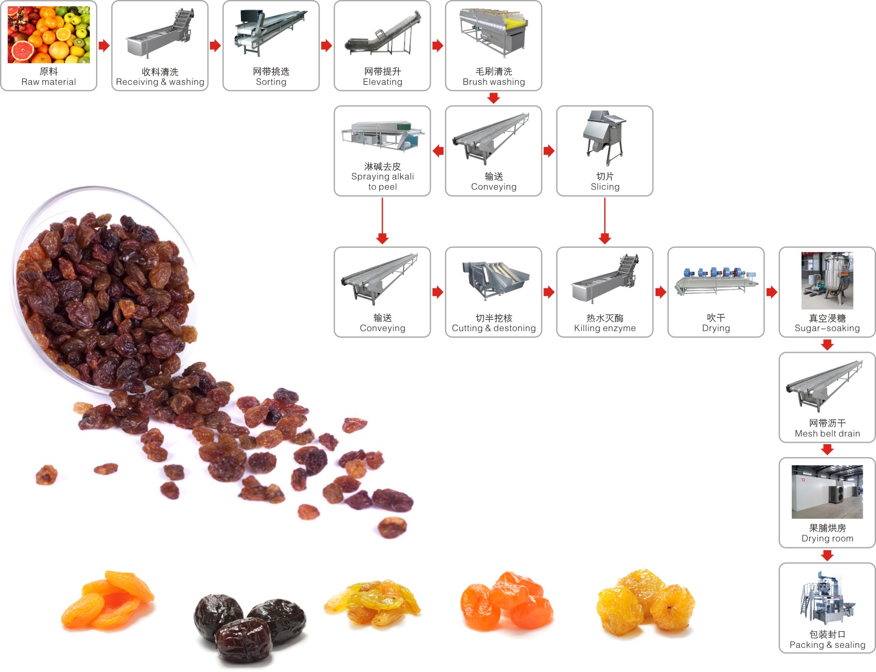 Candied fruit and dried fruit processing production line
