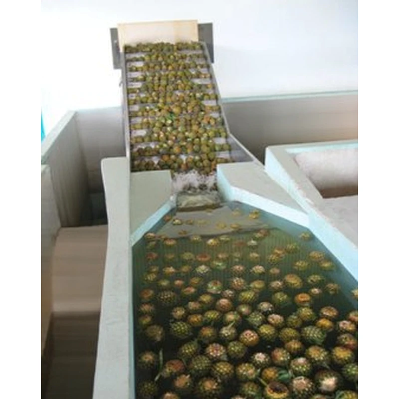 Pineapple processing complete production line turnkey project