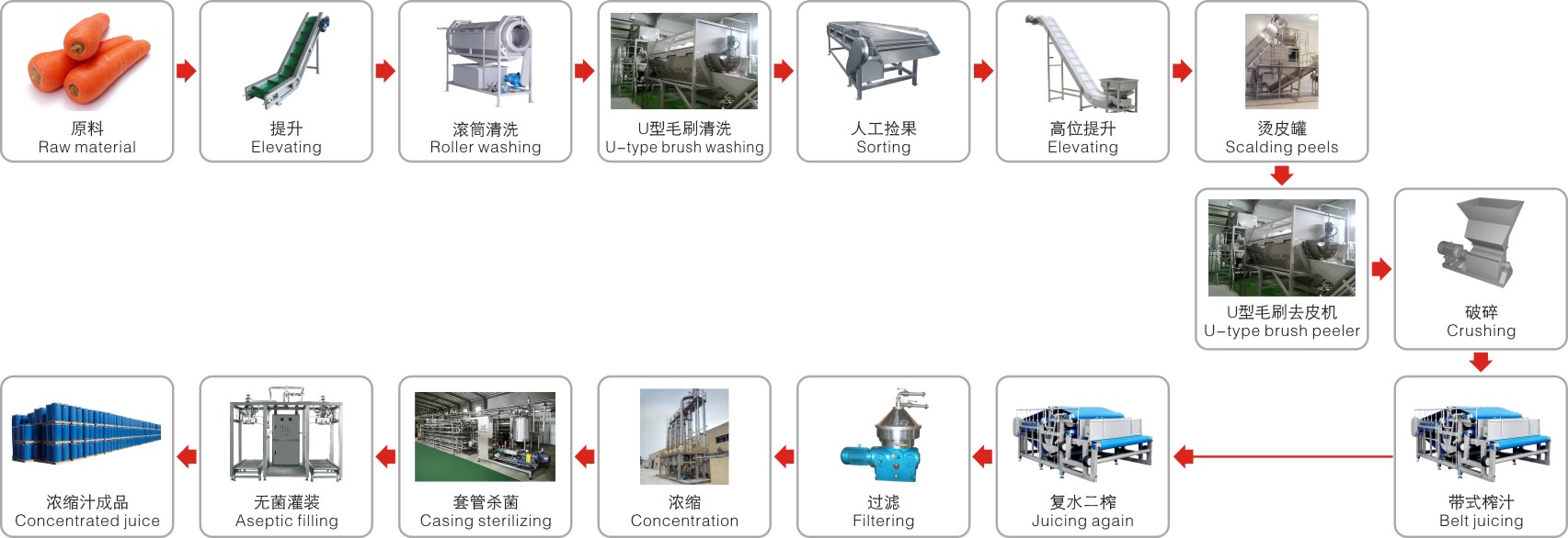 Carrot processing line