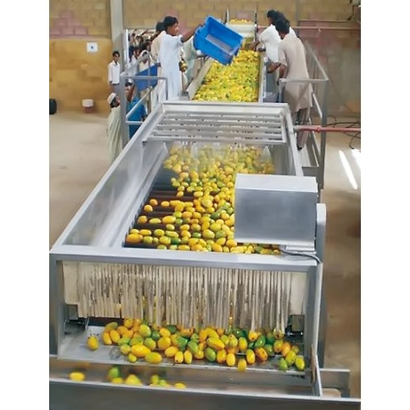 Mango processing complete production line turnkey project