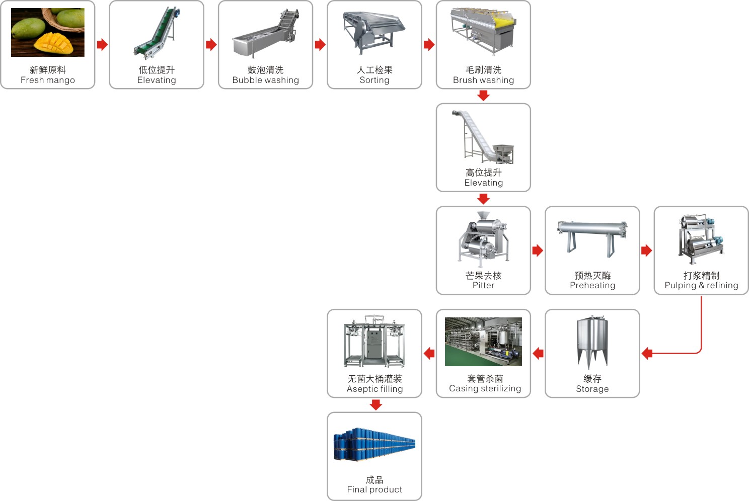 Mango processing complete production line turnkey project