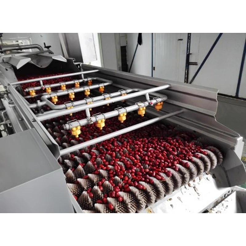 Red dates,medlar processing complete production line turnkey project
