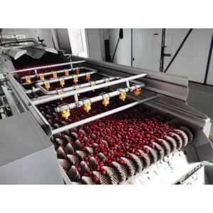 Red dates,medlar processing complete production line turnkey project