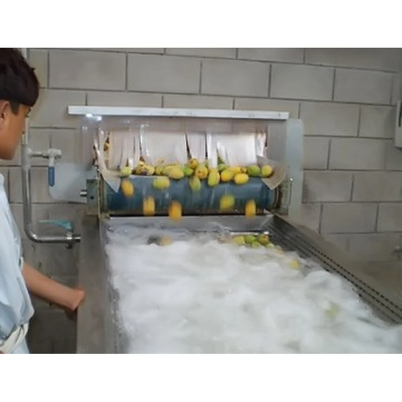 Mango processing complete production line turnkey project