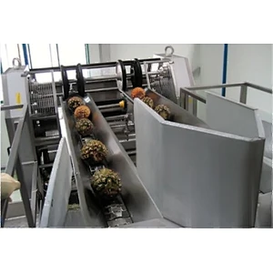 Pineapple processing complete production line turnkey project