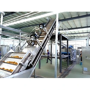 Prickly pear processing complete production line
