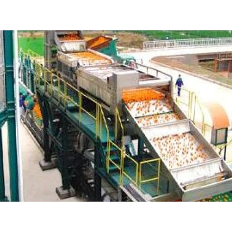 Orange,citrus,lemon processing complete production line turnkey project