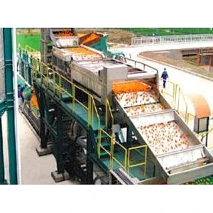Orange,citrus,lemon processing complete production line turnkey project