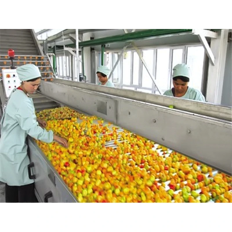 Peach apricot processing complete production line