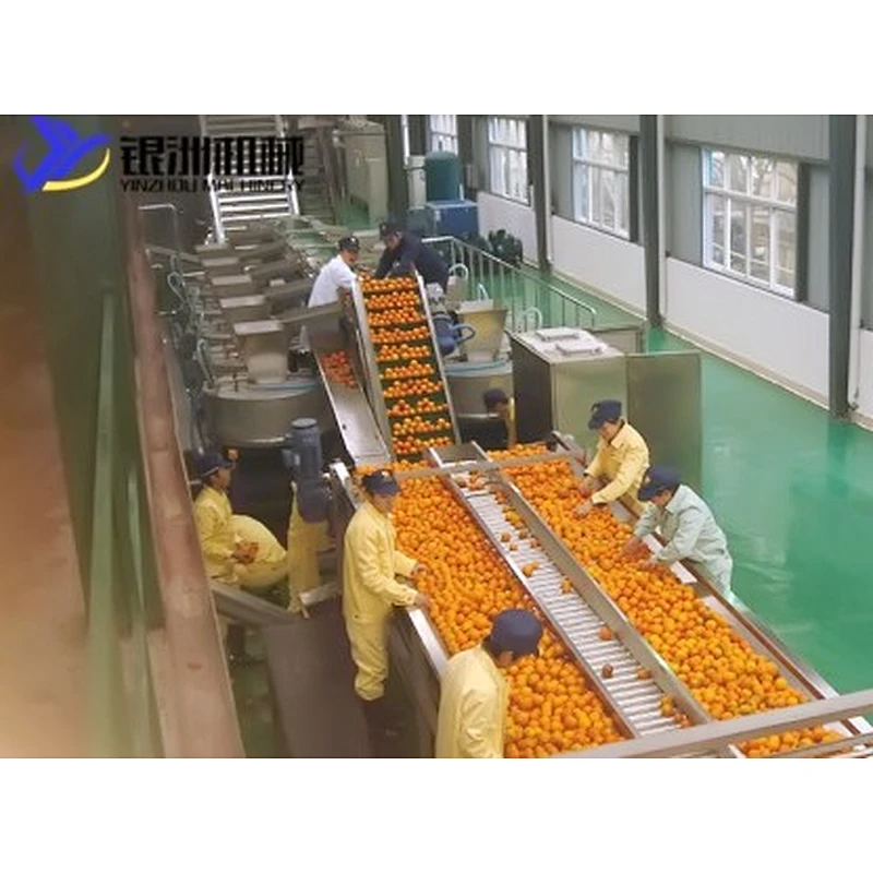 Orange,citrus,lemon processing complete production line turnkey project