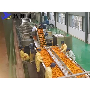 Orange,citrus,lemon processing complete production line turnkey project