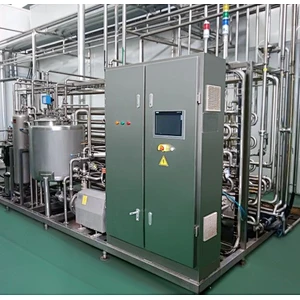 Mango processing complete production line turnkey project