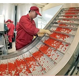 Red dates,medlar processing complete production line turnkey project