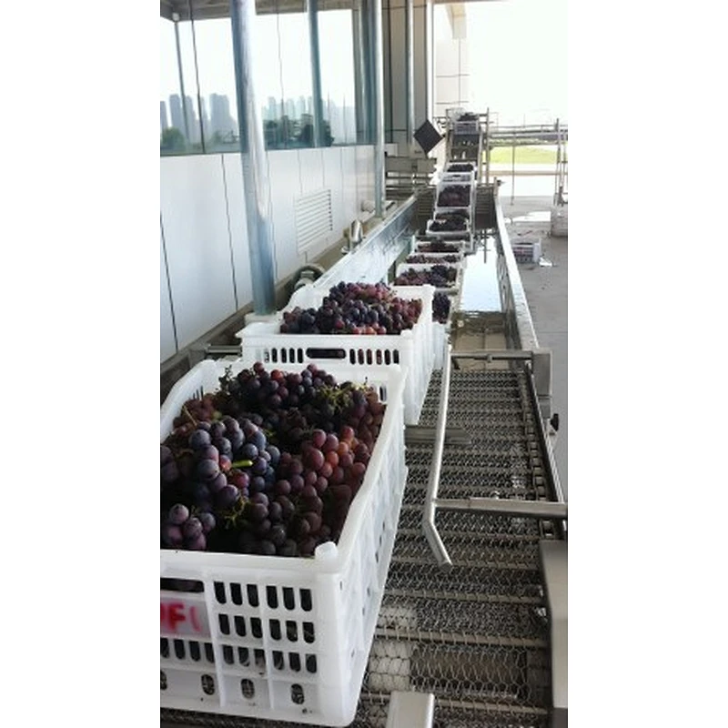 Grape processing production line