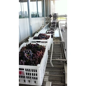 Grape processing production line