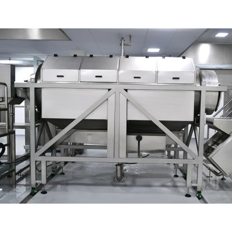 Candied fruit and dried fruit processing production line