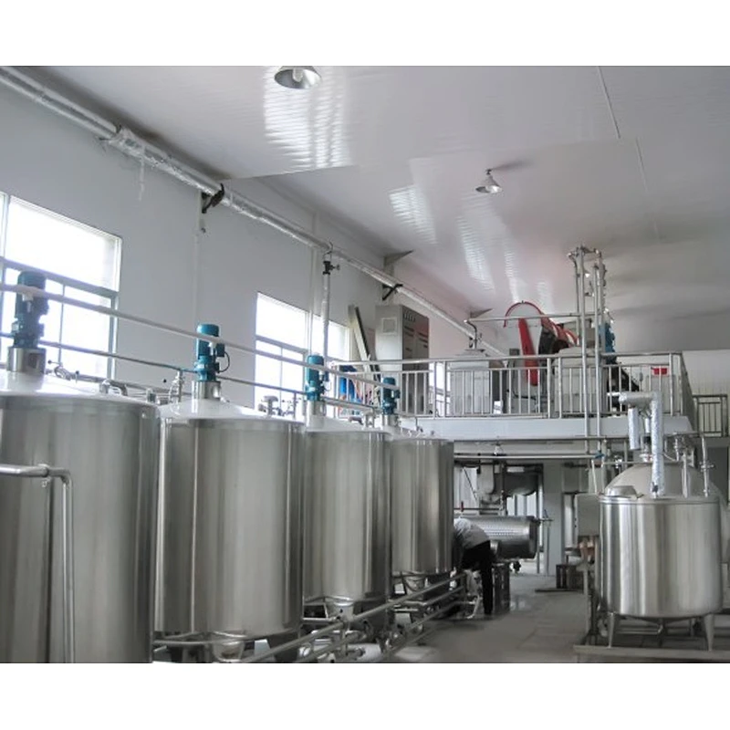 Mango processing complete production line turnkey project