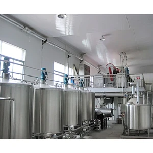 Mango processing complete production line turnkey project