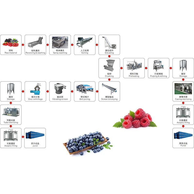 Blueberry,strawberry,raspberry,blackberry,mulberry processing line
