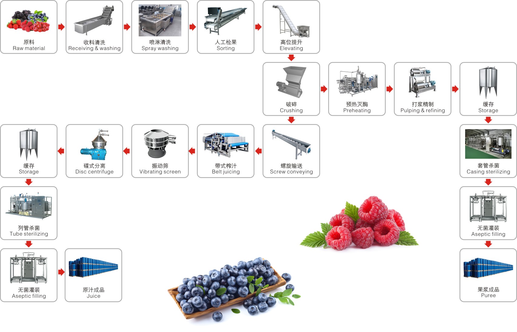 Blueberry,strawberry,raspberry,blackberry,mulberry processing line