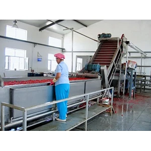 Concentrated tomato paste processing production line