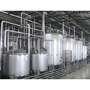 Mango processing complete production line turnkey project