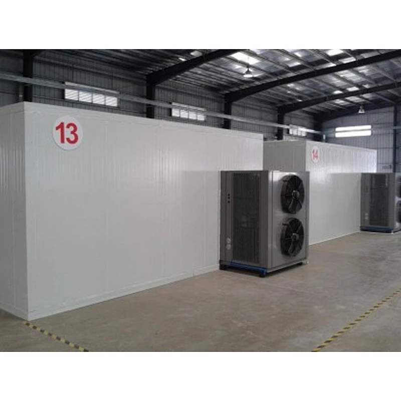 Candied fruit and dried fruit processing production line