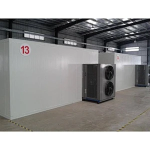 Candied fruit and dried fruit processing production line