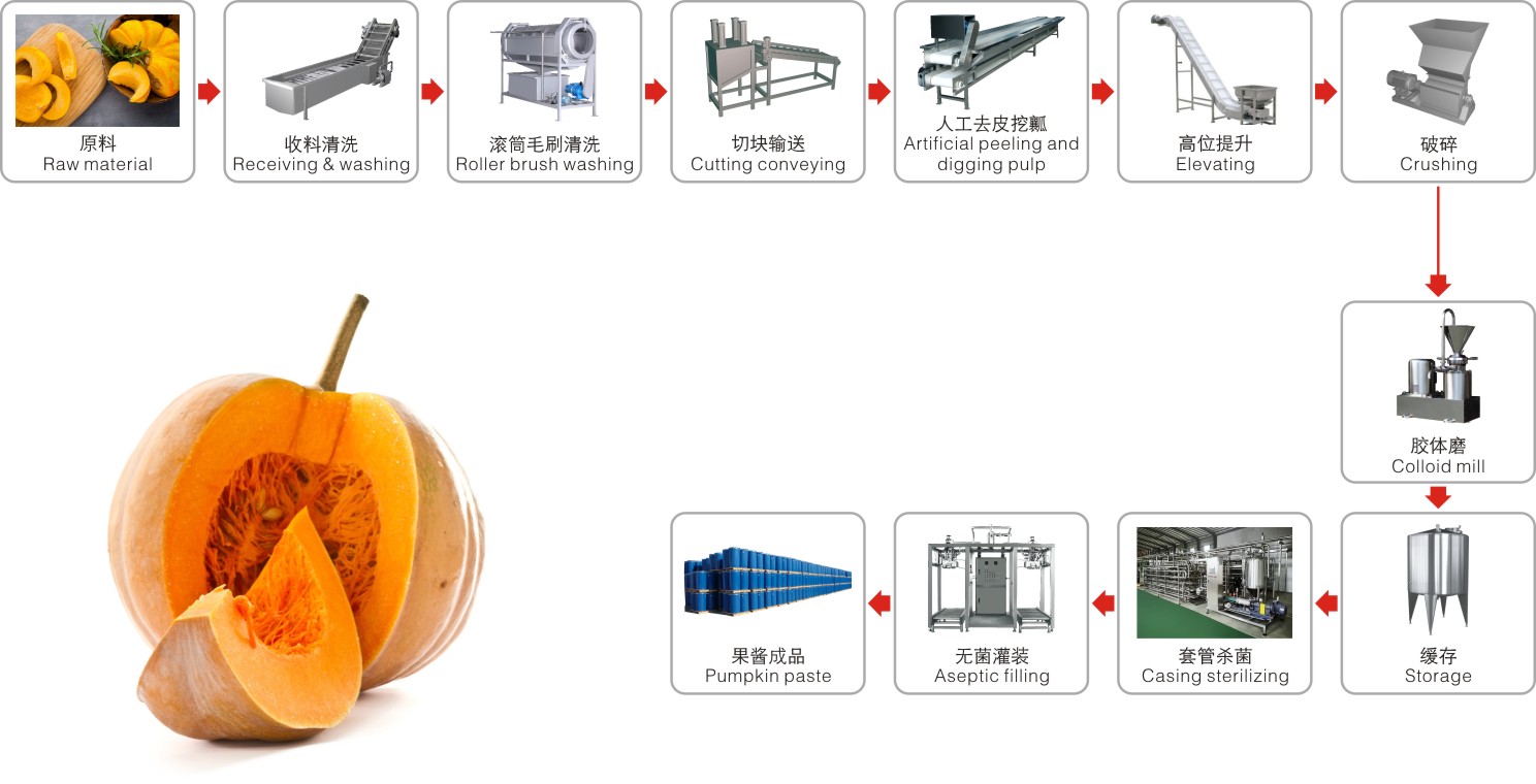 Pumpkin processing line