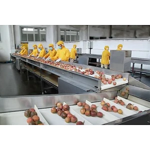 Turnkey project of passion fruit and dragon fruit processing complete production line