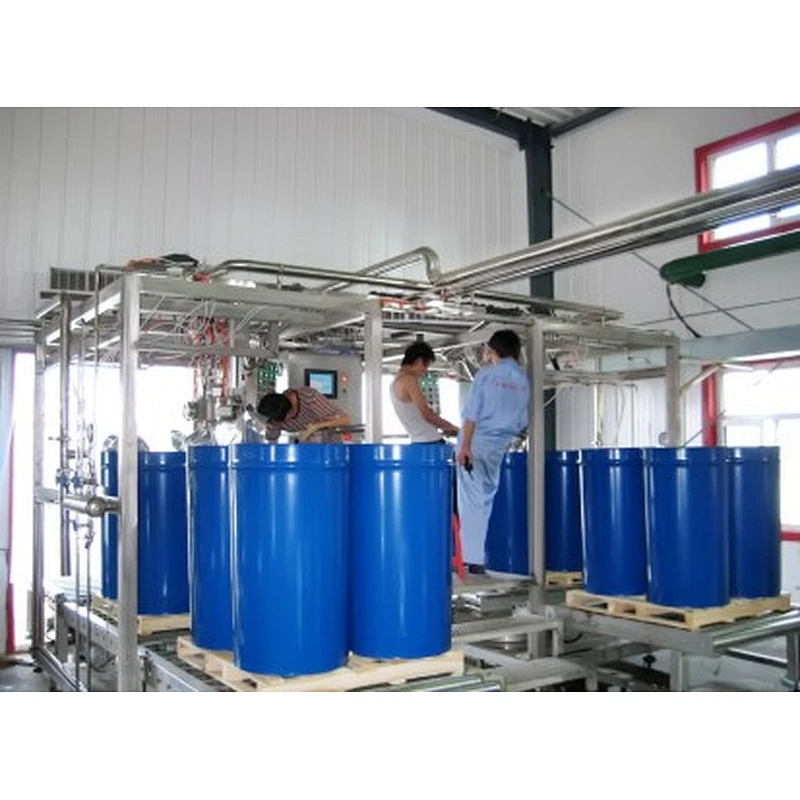 Kiwi processing complete production line