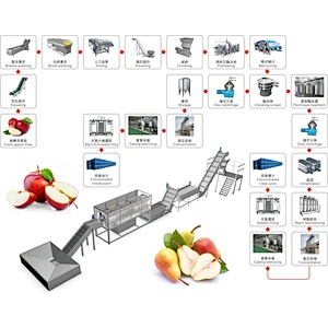 Apple and pear processing production line
