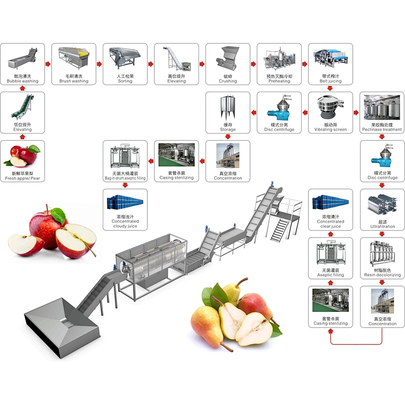 Apple and pear processing production line