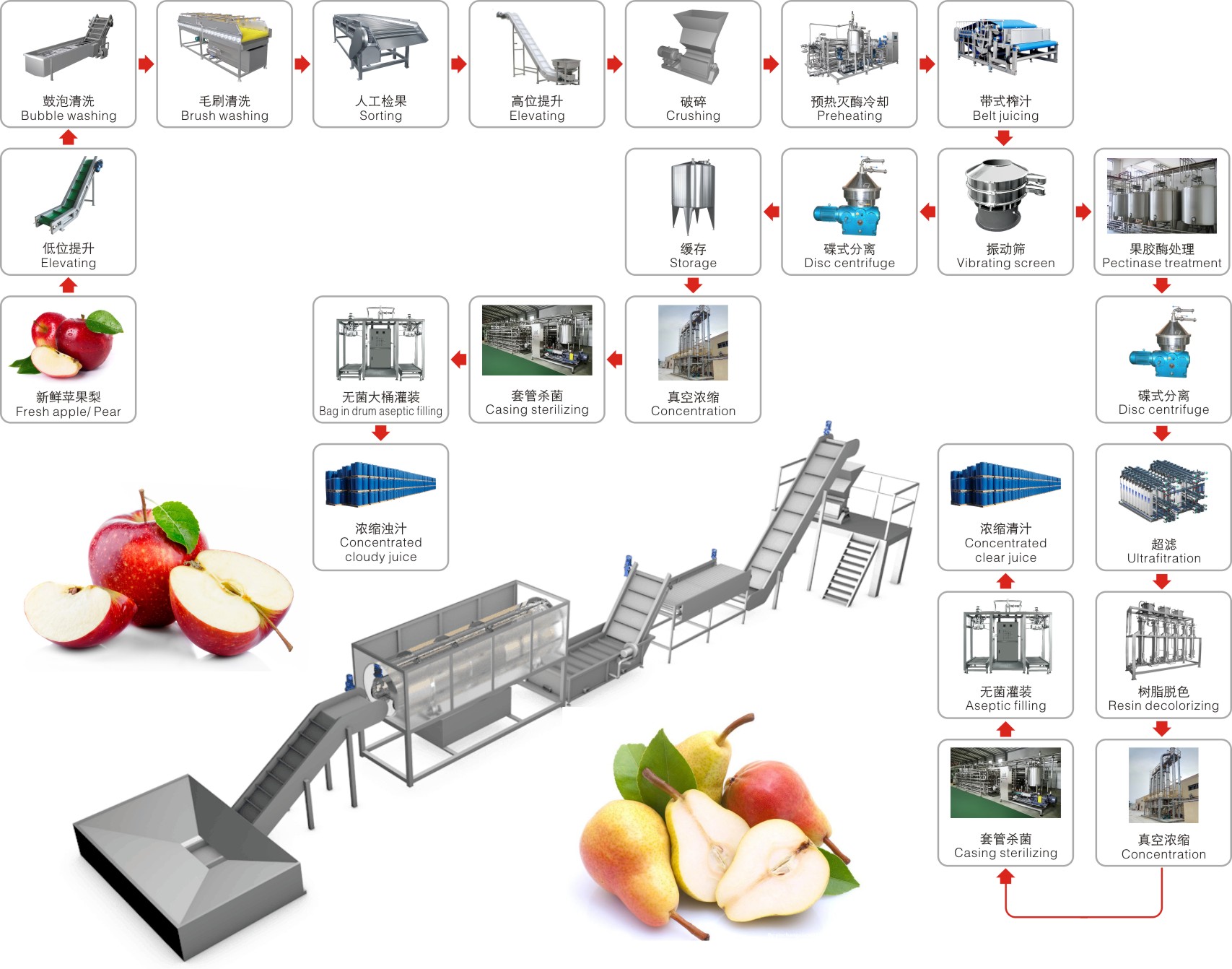 Apple and pear processing production line