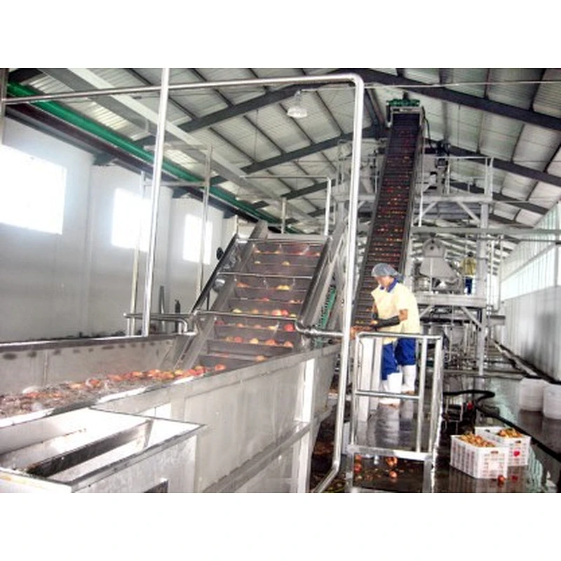 Peach apricot processing complete production line